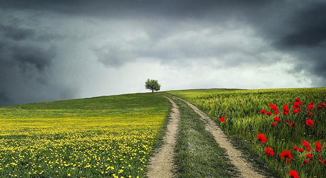 中国提升亚太粮食产量中国提升亚太粮食产量