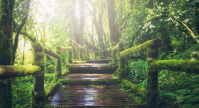 营销短视:要么增长,要么消亡