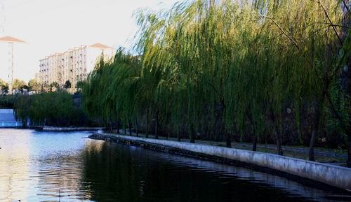 关于调整作息时间的通知