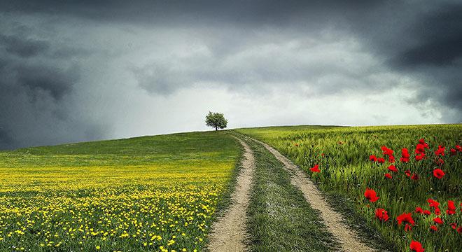 互学互助聚合力 共谱党建新篇章