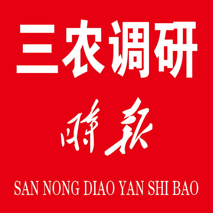 走近山东省寿光市化龙镇发展蓝图—— 看“龙势发力”,民生幸福唱响蓝色旋律