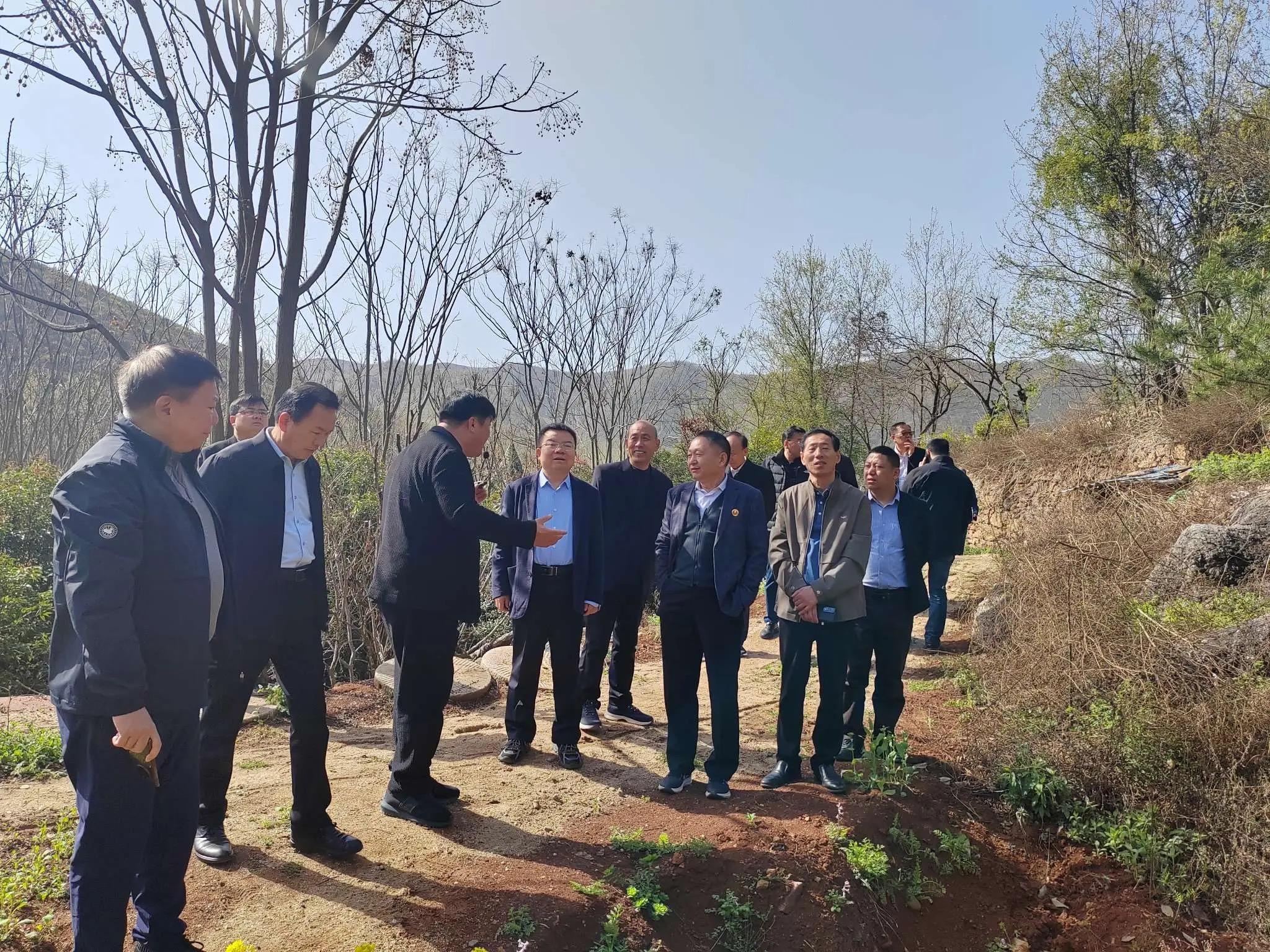 专业数据+专家观点，洞察市场趋势