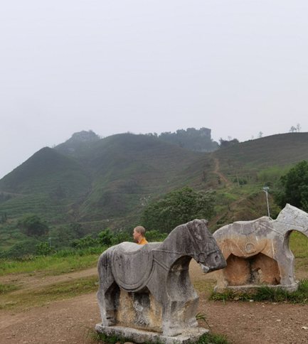 1768215339486308.png image.png