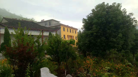 1768215448325993.png image.png